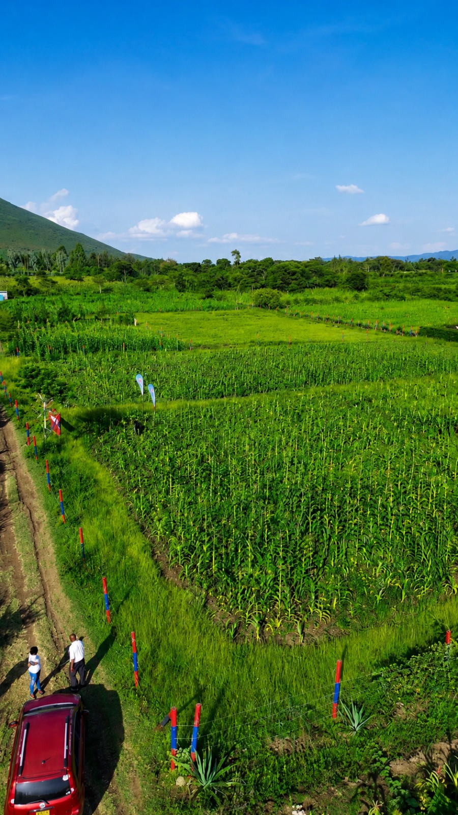 Aerial view of vast Kenyan green agricultural land at golden hour